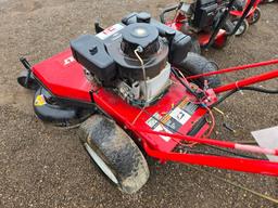 TroyBilt mower (not running)