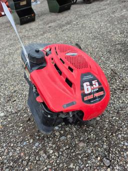 Briggs & Stratton 6.5 HP Engine