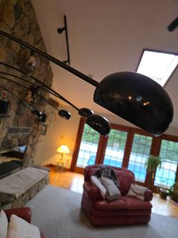 Floor Burst Lamp, Plant