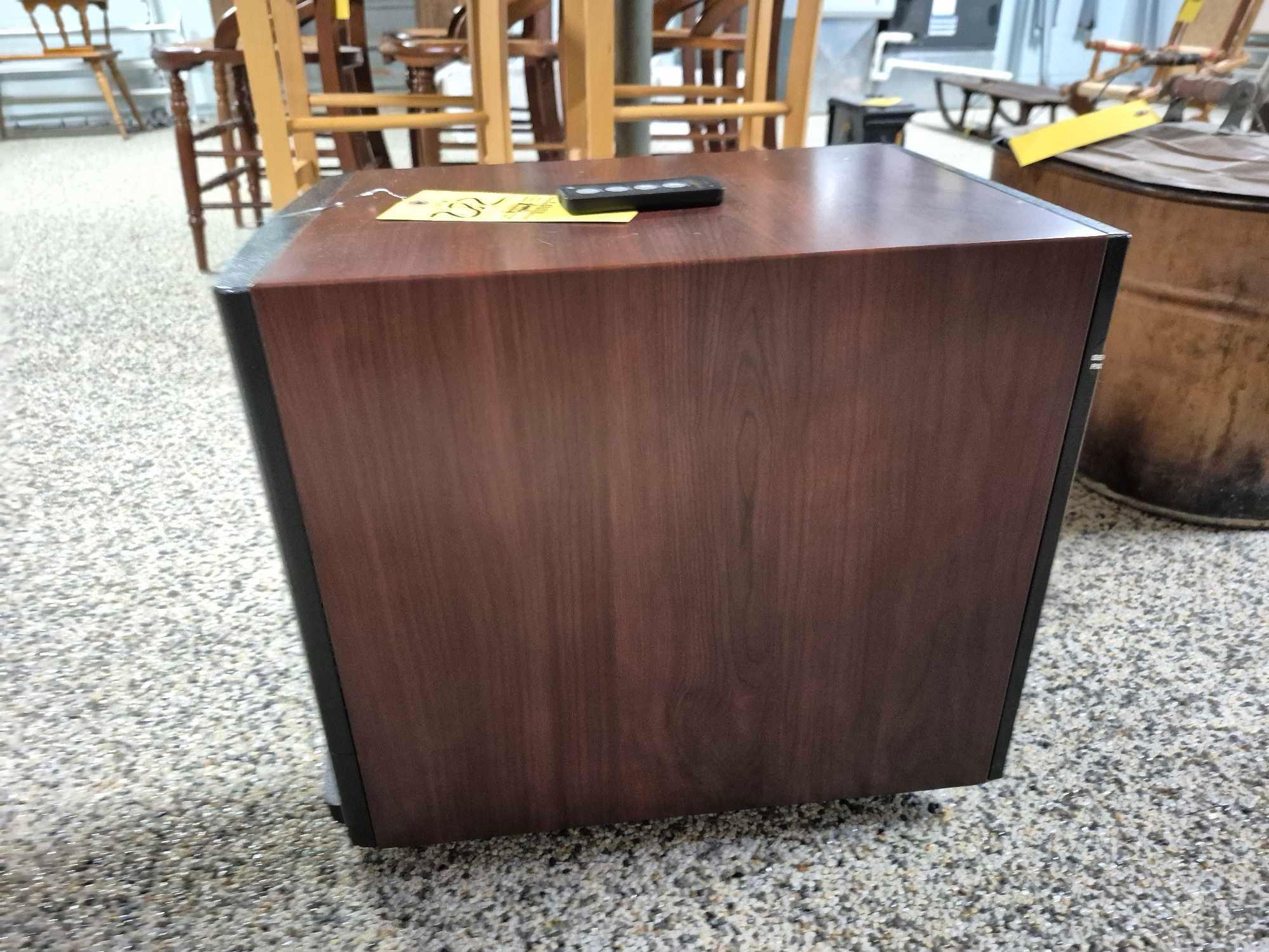 Eden Pure Electric Heater w/ Remote