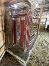 Working Cattle Chute with Automatic head gate