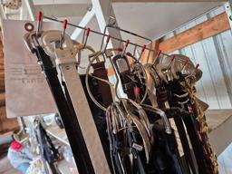 Belt Assortment