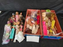 Vintage and Modern Barbies
