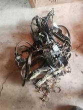 Horse Harness