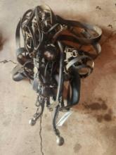 Horse Harness