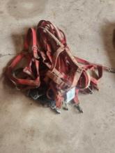 Horse Harness