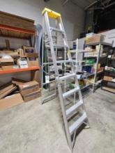 Davidson 8' Aluminum Ladder