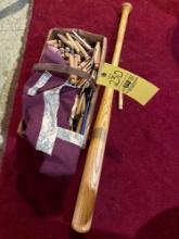 bat with loads of clothes pins