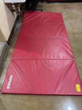 Gopher Red foldable Floor mat , office chair, wheel chairs - Rm 1205