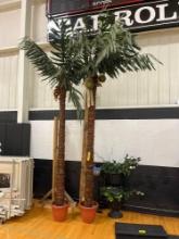 10ft palm trees - decor and stand - Bell Harron