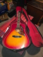 Global Guitar in Case