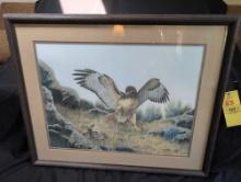 Framed Dave Chapple Wildlife print 152/975