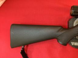 Savage mod 93 R 17 Rifle