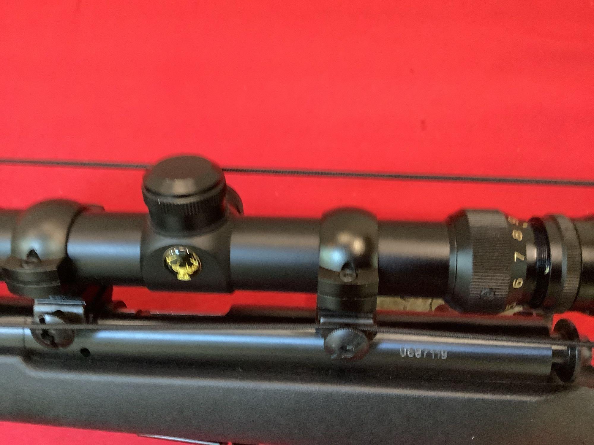 Savage mod 93 R 17 Rifle