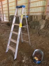 6' Werner step ladder