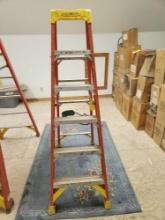Werner Six Foot Ladder