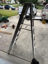 Werner 6 foot step ladder