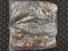 Large group of assorted Lincoln head cents