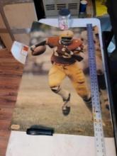 1971 Larry Brown Washington Redskins Poster Renselaar
