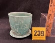 McCoy Sand Dollar Pot & Saucer