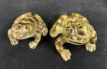 4 & 5 Brush Frogs