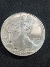 2004 American Silver Eagle Dollar Coin