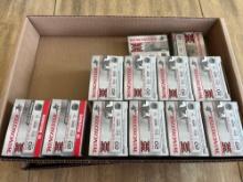 160 rds of 20ga Slugs