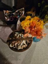 Sea shells, vases, decor