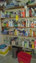 Contents of Laundry room shelf