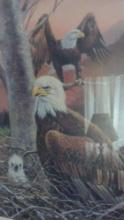 (2) wall mirrors & R.J. McDonald Framed Eagle print