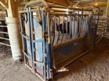preifert squeeze chute with palpation cage