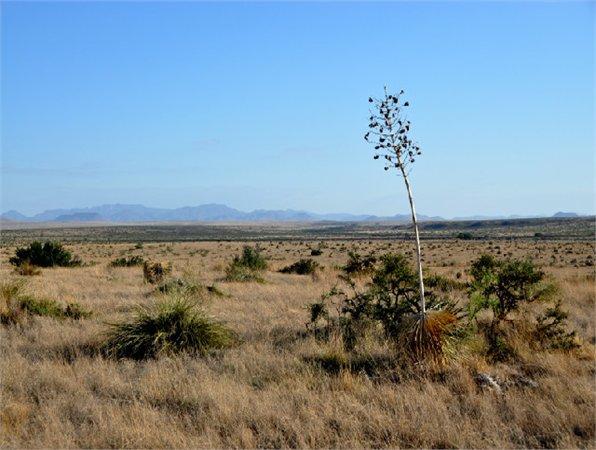 Ten Acres of Texas Paradise!