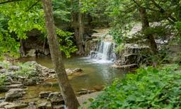 20 Lot Package in Cherokee Village, Arkansas! BIDDING IS PER LOT!