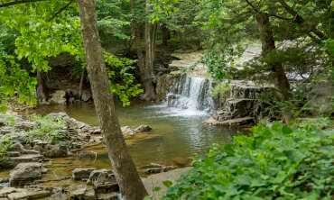 20 Lot Package in Cherokee Village, Arkansas! BIDDING IS PER LOT!
