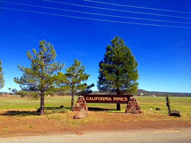Build or Camp on this Tall Pines Acre Lot in Modoc County, California!