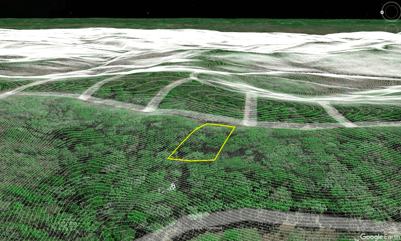 Buildable Quarter-Acre Lot in Benton County, Missouri!