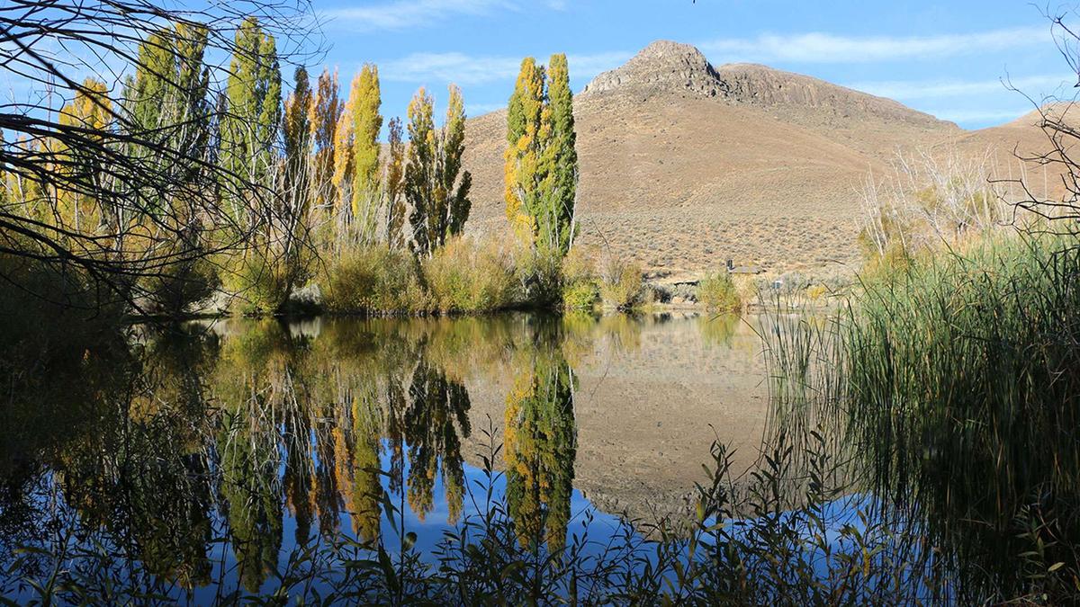 20-Acre Nevada Retreat: Your Own Private Oasis in the Desert!