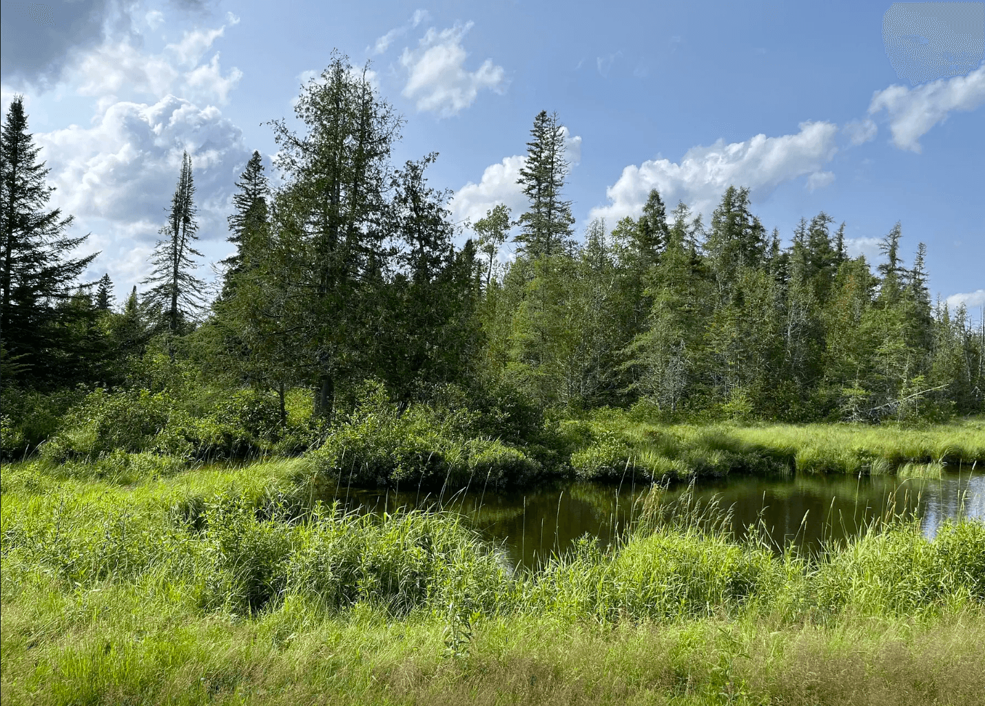 Unveil the Beauty of Northern Maine: Embrace 30.65 Acres of Serenity!