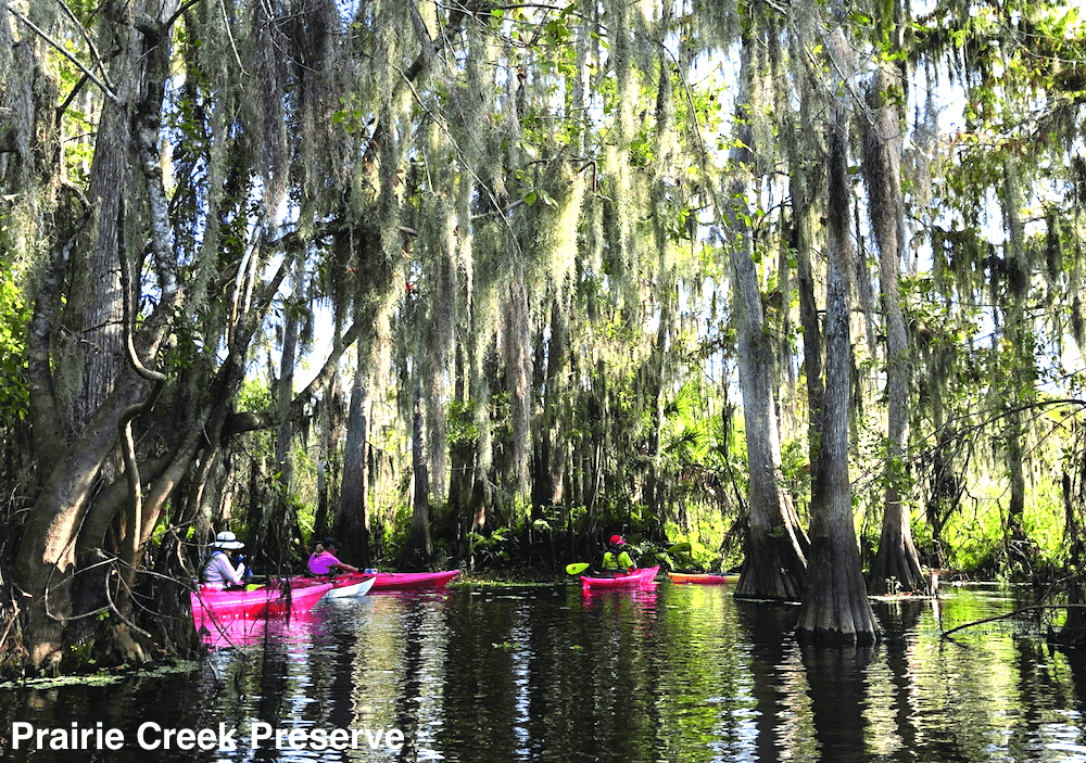 Florida's Outdoor Connoisseur's Dream!