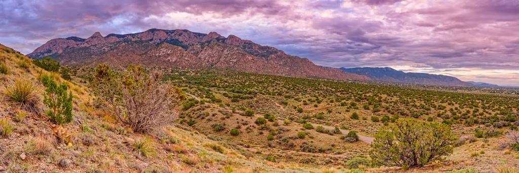 Snag This Opportunity: 10-Lot Package in Sizzling New Mexico!