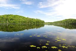 Waterfront Gem: Chippewa County's Hidden Paradise!