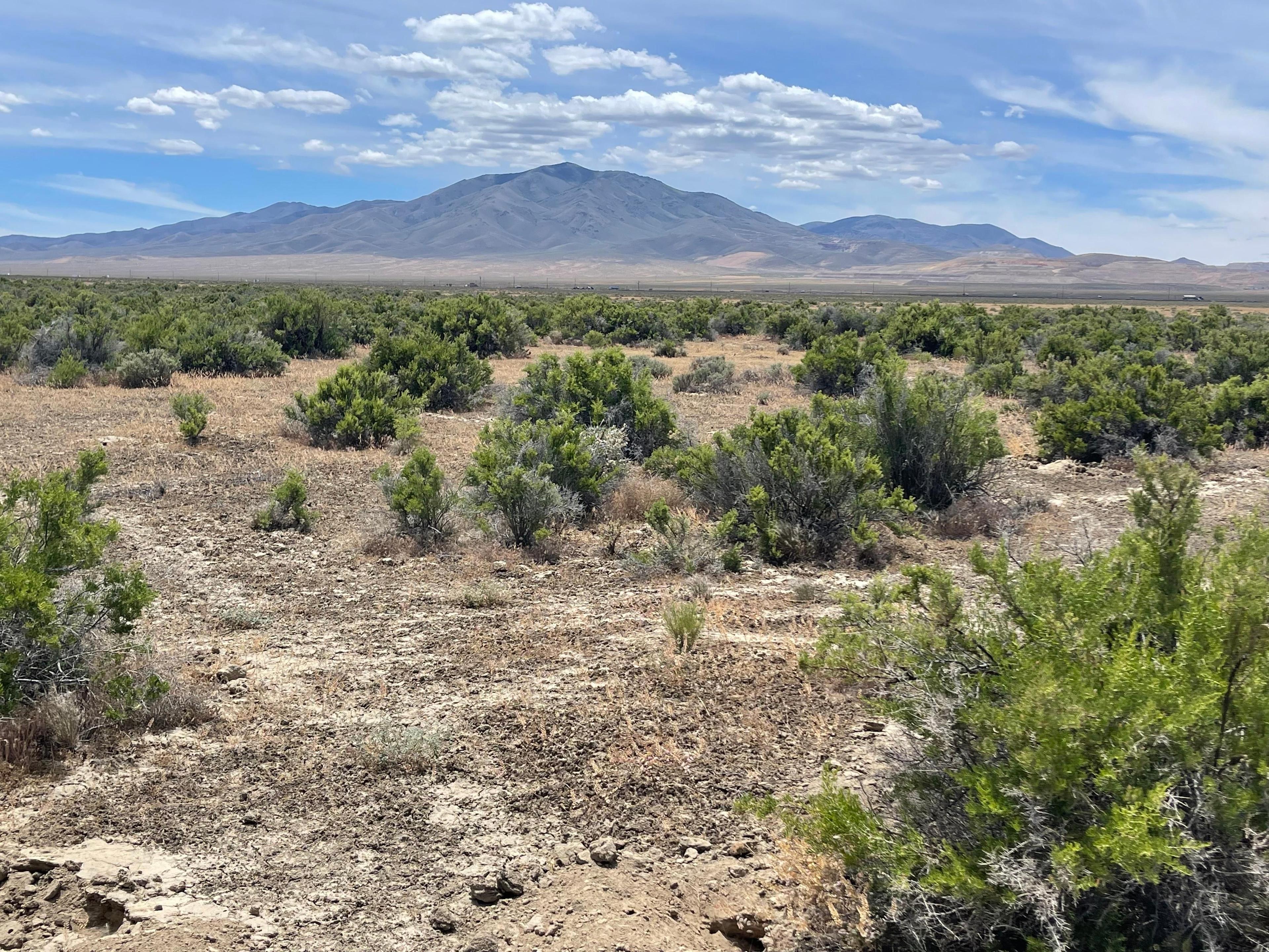 Nearly 56 Acres in Lander County, Nevada!