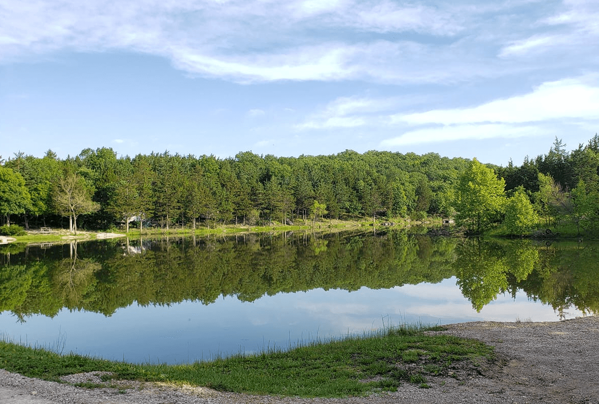 Road Frontage on this Quarter-Acre Camping Lot in Missouri!