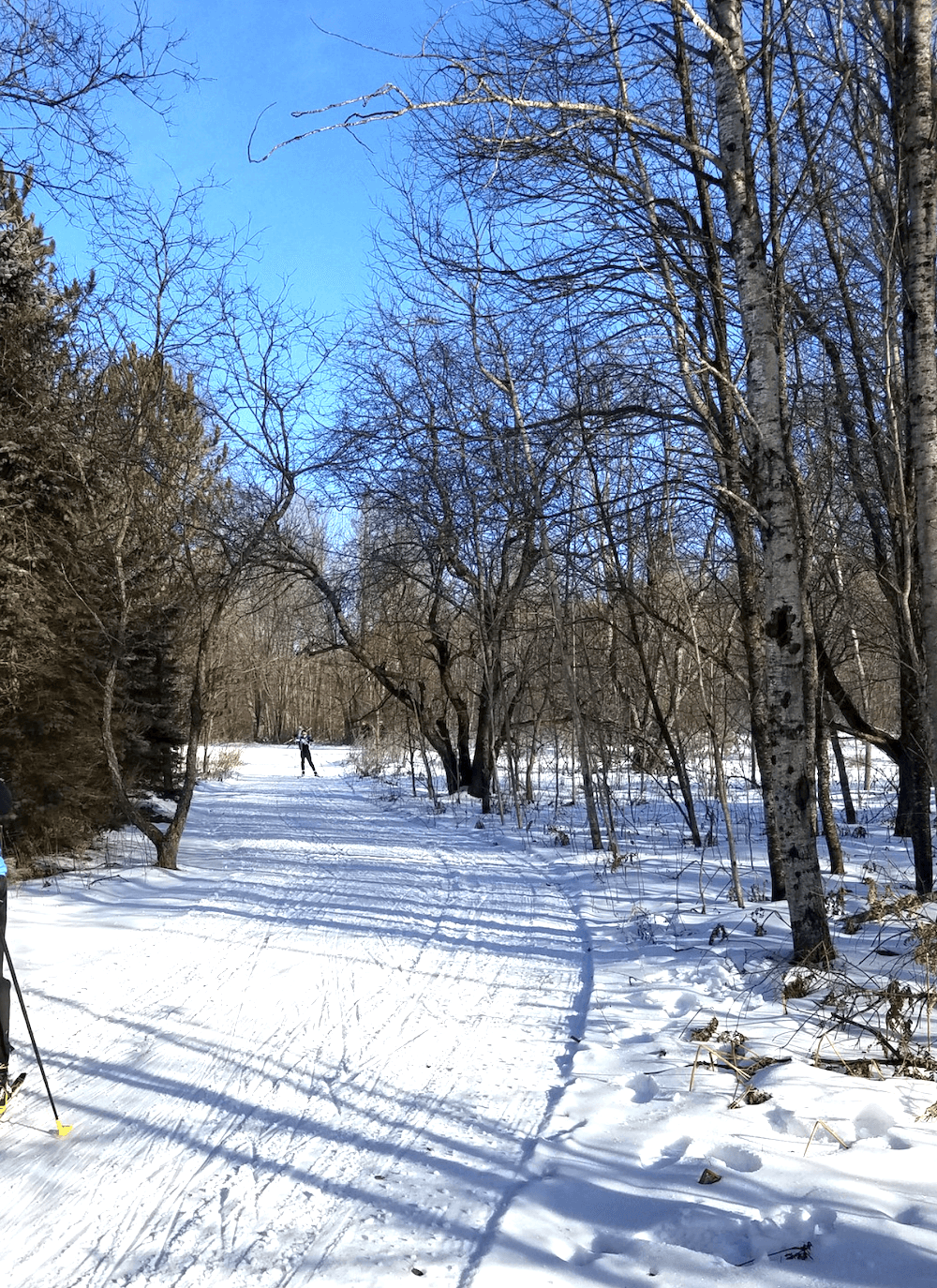 3/4 Acre to Build On in Michigan!