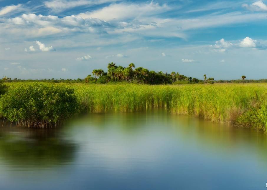 Own Florida Land Close to the Gulf of Mexico, Charlotte Harbor, & Miles of Pristine Coastline!