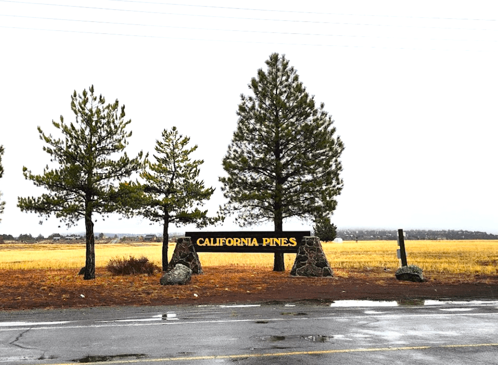 Over an Acre in California Pines: A Tranquil Retreat for Nature Enthusiasts!