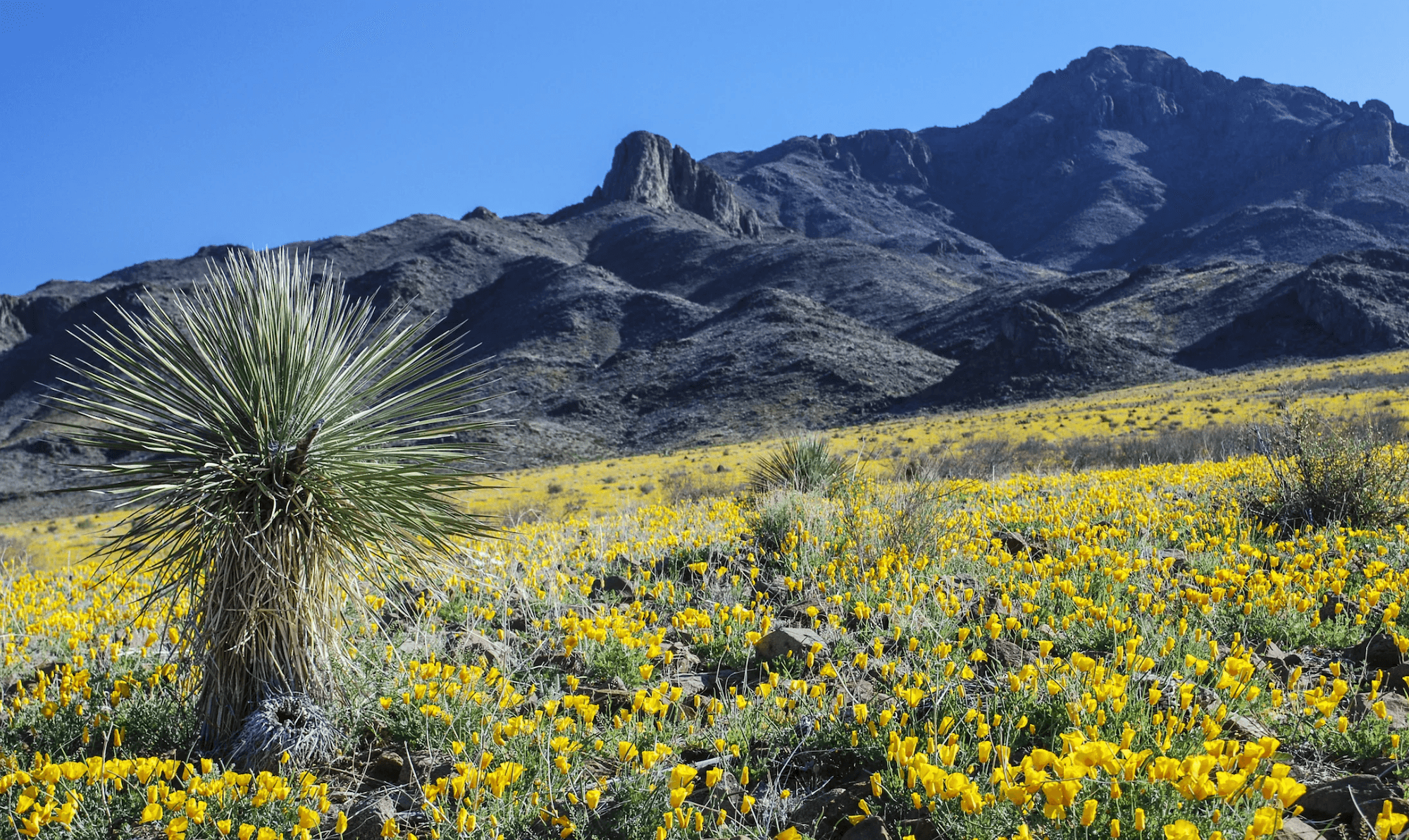 Explore Luna County, New Mexico!