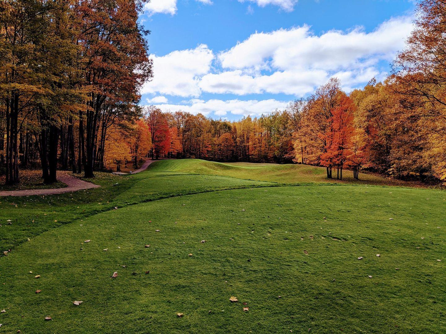 Build Your Dream Home on a Lot at Garland Woods Golf Resort in Oscoda County, Michigan!