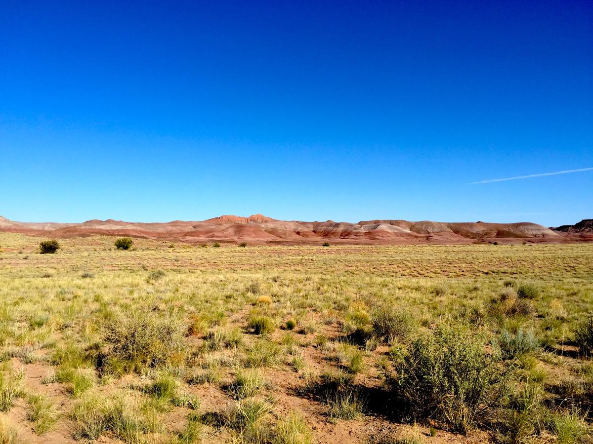 Experience 1.32 Acres of Beauty and Culture in Arizona's Navajo Nation!