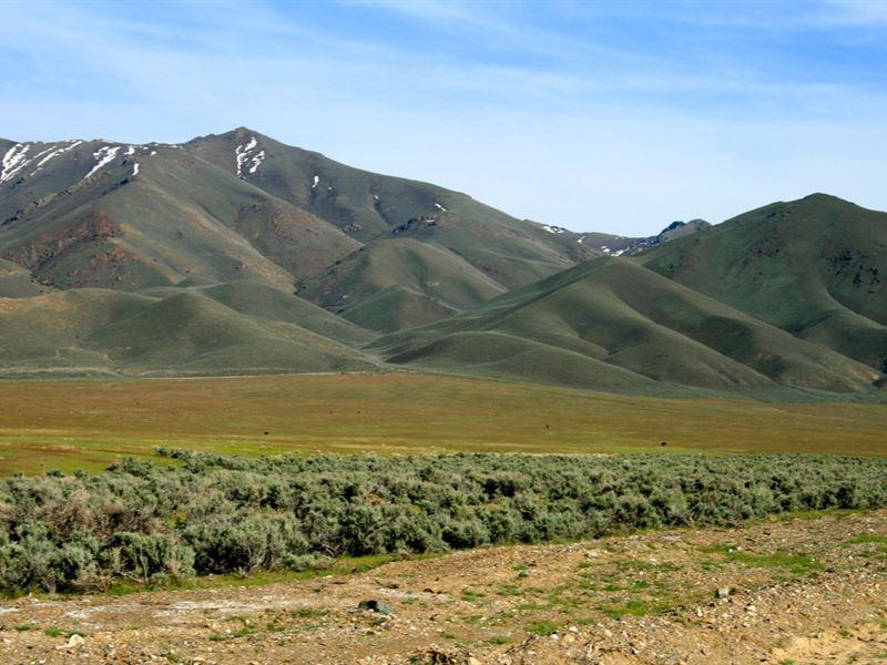 10 Acres of Stunning Landscape:  Own a Piece of Nevada's Splendor!